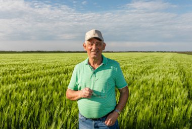 Gülümseyen yaşlı çiftçinin portresi buğday tarlasında duruyor..