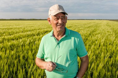 Gülümseyen yaşlı çiftçinin portresi buğday tarlasında duruyor..