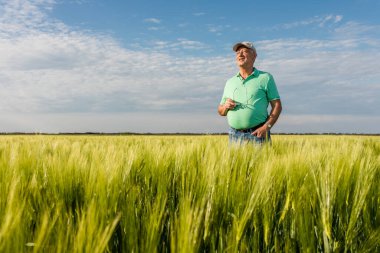 Gülümseyen yaşlı çiftçinin portresi buğday tarlasında duruyor..