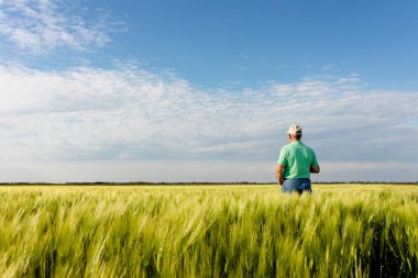 Kıdemli çiftçinin buğday tarlasında dikiz aynasından.