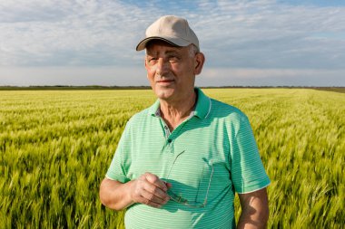 Gülümseyen yaşlı çiftçinin portresi buğday tarlasında duruyor..
