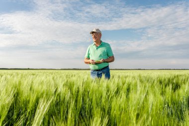Buğday tarlasında duran kıdemli çiftçinin portresi.