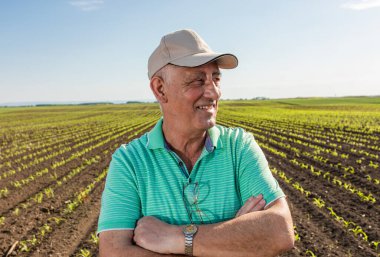 Mısır tarlasında duran gülümseyen kıdemli çiftçinin portresi.