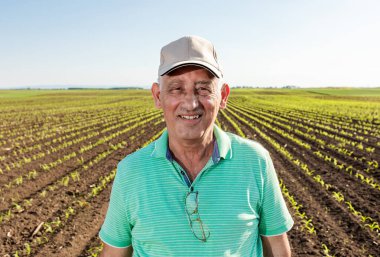 Mısır tarlasında duran gülümseyen kıdemli çiftçinin portresi.