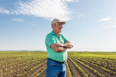 Mısır tarlasında duran gülümseyen kıdemli çiftçinin portresi.