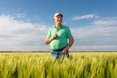 Gülümseyen yaşlı çiftçinin portresi buğday tarlasında duruyor..