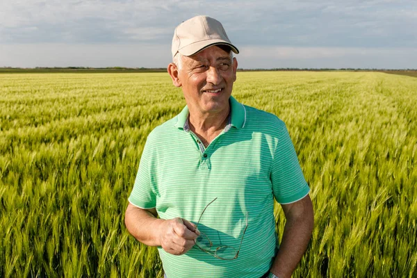 Gülümseyen yaşlı çiftçinin portresi buğday tarlasında duruyor..