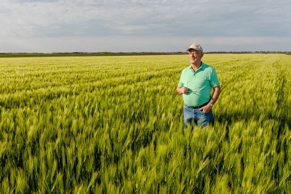 Gülümseyen yaşlı çiftçinin portresi buğday tarlasında duruyor..
