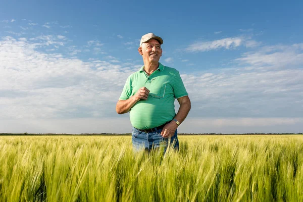 Gülümseyen yaşlı çiftçinin portresi buğday tarlasında duruyor..