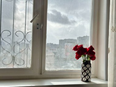 Bulutlu Şehir Manzaralı Pencere kenarında Kırmızı Güller