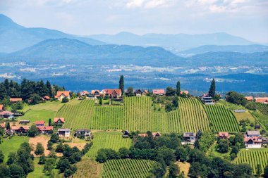 Gorgeous landscape with vineyards and mountains in the Steiermark Region, Austria. The Steiermark (Styria) wine-growing region of Austria is world-renowned for its picturesque landscapes, often compared to Tuscany.