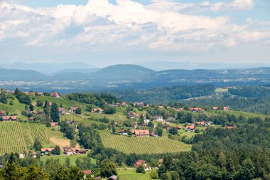 Avusturya 'nın Steiermark bölgesinde üzüm bağları ve dağları olan muhteşem bir manzara. Avusturya 'nın Steiermark (Styria) şarap yetiştiren bölgesi, çoğu zaman Toskana' ya kıyasla resim gibi manzaralarıyla dünyaca ünlüdür..