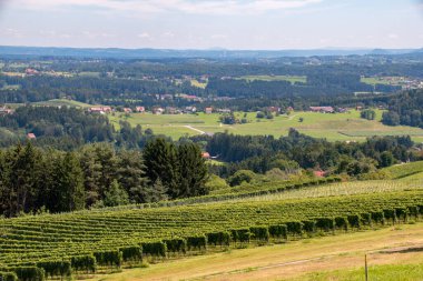 Avusturya 'nın Steiermark bölgesinde üzüm bağları ve dağları olan muhteşem bir manzara. Avusturya 'nın Steiermark (Styria) şarap yetiştiren bölgesi, çoğu zaman Toskana' ya kıyasla resim gibi manzaralarıyla dünyaca ünlüdür..