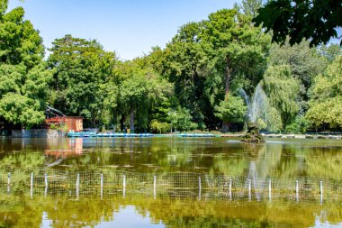 Romanya 'nın Bükreş kentinde Cismigiu park ve gölü