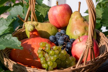 Karışık biyo-taze meyveli sepet, seçici odaklanma.