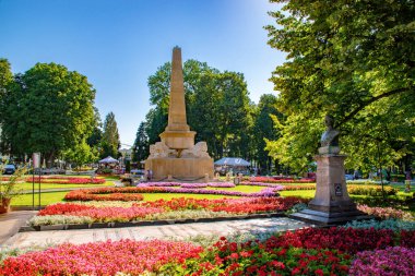 Romanya 'nın Iasi kentindeki Copou Park' ta güzel bir manzara. Romanya 'nın İasi kentindeki Copou Parkı sabahın erken saatlerinde güneş ışığıyla yıkandı.