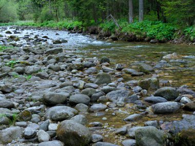 dağ nehri, su ve taşlar