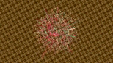 Yaratıcı video düzenleme film tasarımı için benzersiz hareket grafikleri biçimi giriş hareketi video pro