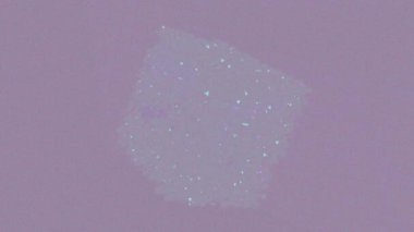 Lüks marka kimliği ve soyut hareketli video arkaplanı için ruhani ışıldayan doku