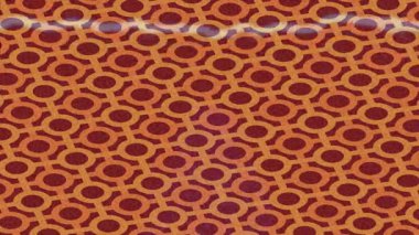 Benzersiz dijital hareket grafiklerine sahip yaratıcı sinematik projeler için yumuşak animasyon yüzeyi