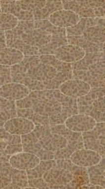 Benzersiz hareket dokusu tasarım sanatı ile profesyonel video düzenleme için modern soyut grafikler