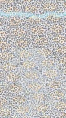 Benzersiz dijital animasyon tarzı grafikleri olan yaratıcı ortam tasarımı için yenilikçi hareket dokusu