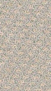 Lüks hareket projeleri için soyut tasarım stili animasyonu olan üst düzey dijital doku