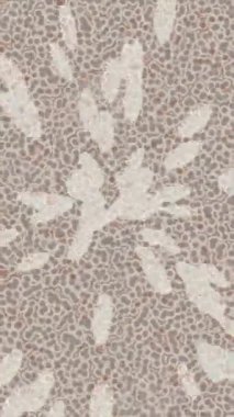 Profesyonel video projeleri sanat tarzı için organik hareketli arkaplan tasarımı