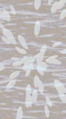 Dijital doku yüzey tasarım biçimi ile modern video animasyonu için gelişmiş hareket grafikleri