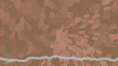 Estetik doku arkaplan tasarımı renkli hareket grafikleri ile moda film giriş profosyoneli