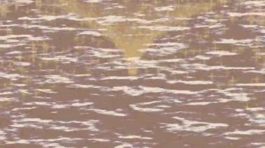 Dijital doku yüzey tasarım biçimi ile modern video animasyonu için gelişmiş hareket grafikleri