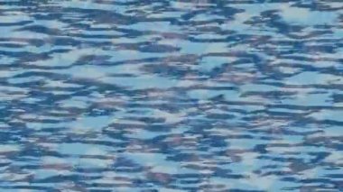 Yaratıcı video düzenleme film arkaplan tasarımı için minimalist organik hareket grafikleri