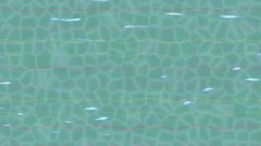 Estetik doku arkaplan tasarımı renkli hareket grafikleri ile moda film giriş profosyoneli