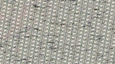 Benzersiz hareket grafikleri tasarım sanatına sahip yaratıcı film üretimi için özet bir arkaplan