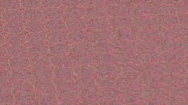 Dijital doku yüzey tasarım biçimi ile modern video animasyonu için gelişmiş hareket grafikleri