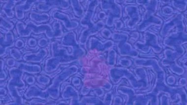 Lüks hareket projeleri için soyut tasarım stili animasyonu olan üst düzey dijital doku