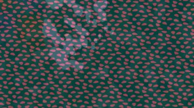 Benzersiz dijital hareket grafiklerine sahip yaratıcı sinematik projeler için yumuşak animasyon yüzeyi