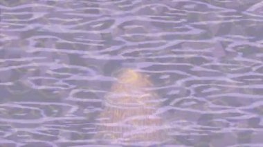 Soyut hareket desenli fütüristik video üretimi için dinamik dijital arkaplan