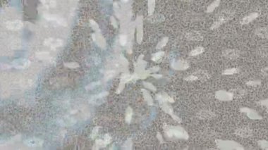 Benzersiz dijital animasyon tarzı grafikleri olan yaratıcı ortam tasarımı için yenilikçi hareket dokusu