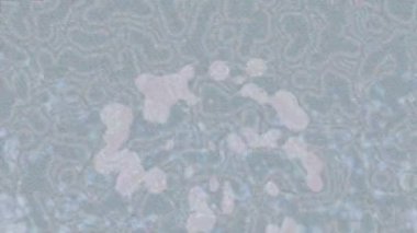 Soyut hareket desenli fütüristik video üretimi için dinamik dijital arkaplan