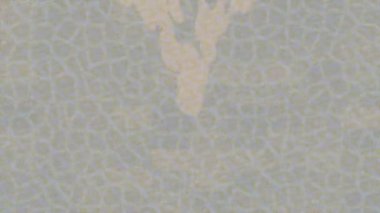 Yaratıcı video düzenleme film tasarımı için benzersiz hareket grafikleri biçimi giriş hareketi video pro