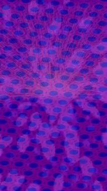 Benzersiz dijital animasyon tarzı grafikleri olan yaratıcı ortam tasarımı için yenilikçi hareket dokusu