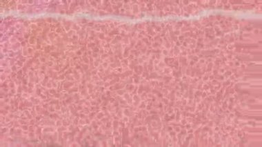 Yaratıcı video düzenleme film arkaplan tasarımı için minimalist organik hareket grafikleri