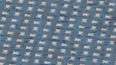 Dijital doku yüzey tasarım biçimi ile modern video animasyonu için gelişmiş hareket grafikleri