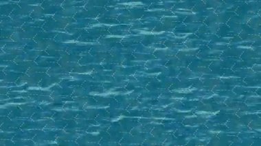 Estetik doku arkaplan tasarımı renkli hareket grafikleri ile moda film giriş profosyoneli