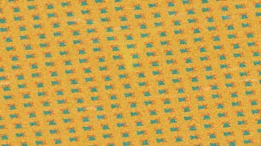 Benzersiz dijital hareket grafiklerine sahip yaratıcı sinematik projeler için yumuşak animasyon yüzeyi