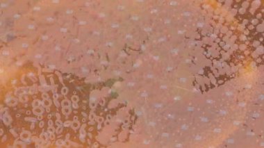 Benzersiz hareket dokusu tasarım sanatı ile profesyonel video düzenleme için modern soyut grafikler