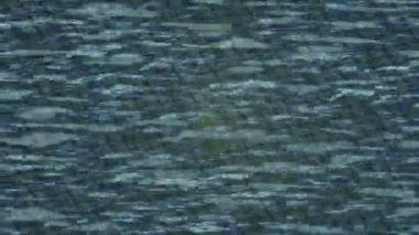 Benzersiz dijital hareket grafiklerine sahip yaratıcı sinematik projeler için yumuşak animasyon yüzeyi