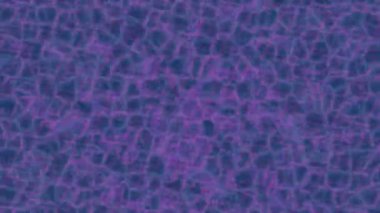 Soyut hareket desenli fütüristik video üretimi için dinamik dijital arkaplan