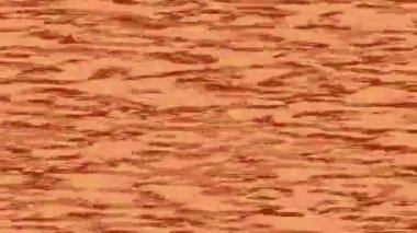 Estetik doku arkaplan tasarımı renkli hareket grafikleri ile moda film giriş profosyoneli